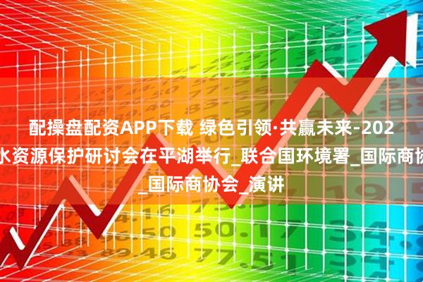 配操盘配资APP下载 绿色引领·共赢未来-2025碳中和水资源保护研讨会在平湖举行_联合国环境署_国际商协会_演讲