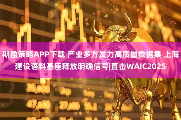期盈策略APP下载 产业多方发力高质量数据集 上海建设语料基座释放明确信号|直击WAIC2025